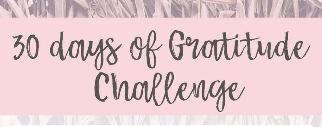 30 day challenge #14