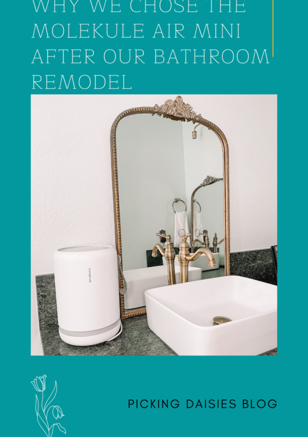 Why We Chose The Molekule Air Mini After Our Bathroom Remodel