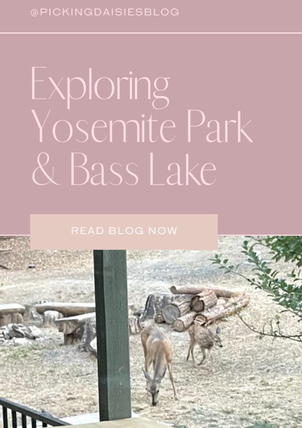 Exploring Yosemite Park & Bass Lake