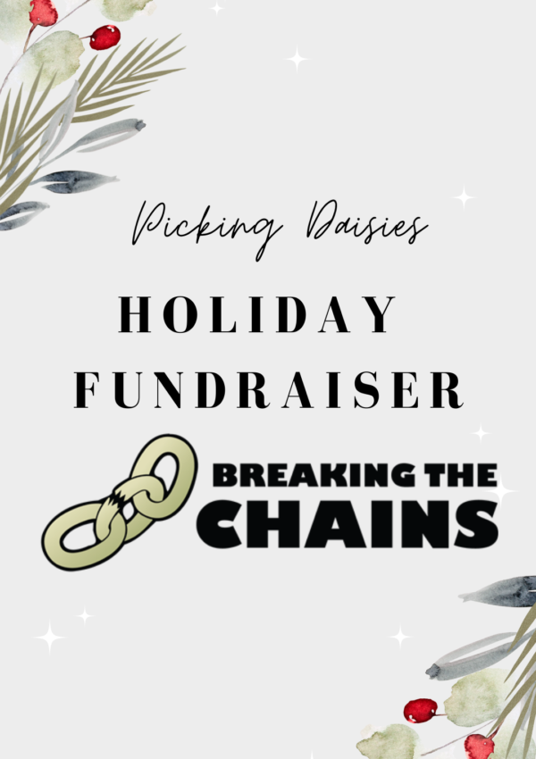 Breaking The Chains Fresno Holiday Donation Picking Daisies Blog California Human Trafficking