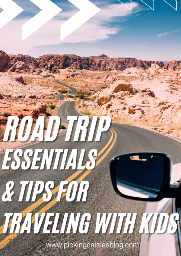 Road Trip Essentials and Activities when traveling with kids and toddlers