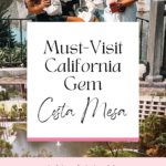 Picking Daisies Blog Must Visit California Gem Costa Mesa